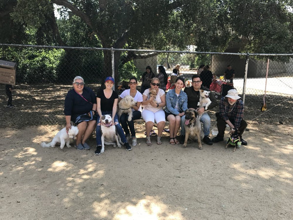 Office workers taking pictures with their dogs at the Hermon dog park 