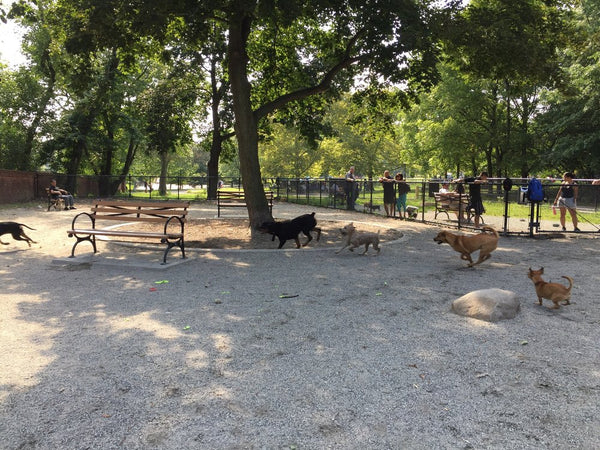 Pelham Bay Dog Park