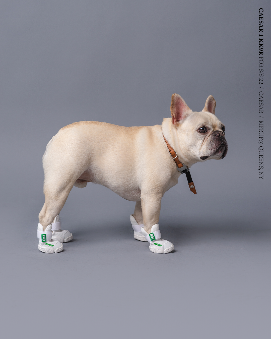 Lookbook | Designer Dog Shoes & Dog Booties | RIFRUF