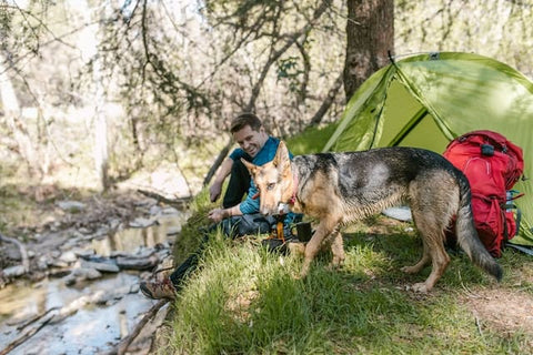 a man camping with his dog