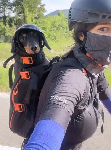 Dog Backpack