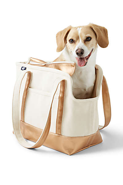 A dog sitting in a high-quality tote pet carrier.  