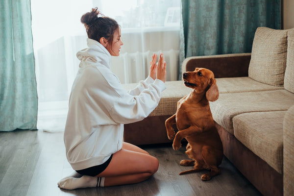 A Woman talking to her dog