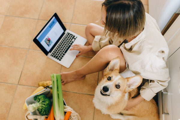 woman booking a trip with dog 