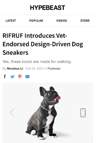 Hypebeast dog shoes dog boots and dog sneakers
