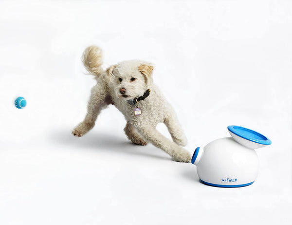 The side view of iFetch ball tossing device with three mini tennis balls.  