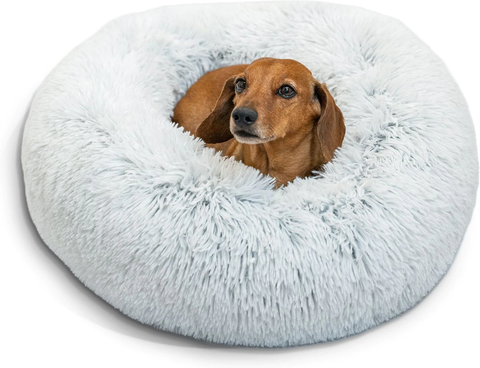 Dog sitting comfortably in a furry donut dog bed