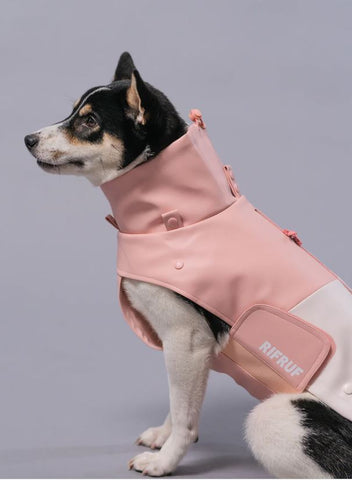 Cute Dog Raincoat