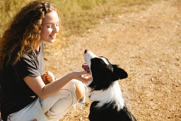 A young woman petting a Border Collie