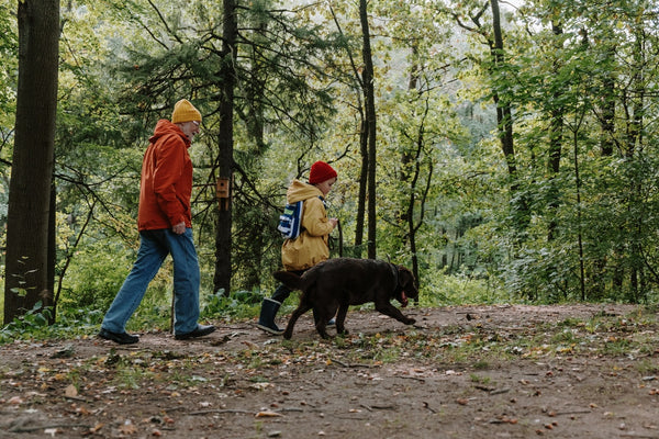 Older man with a child and a dog on a hike in the woods.