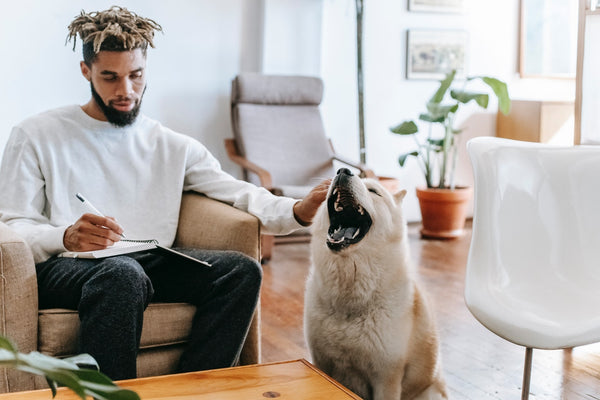 man petting a large white dog 