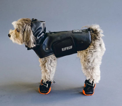 Dog snow boots