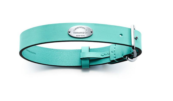 A Tiffany blue dog collar with logo hardware. 