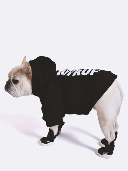 A small white dog wearing a black RIFRUF Essential Hoodie