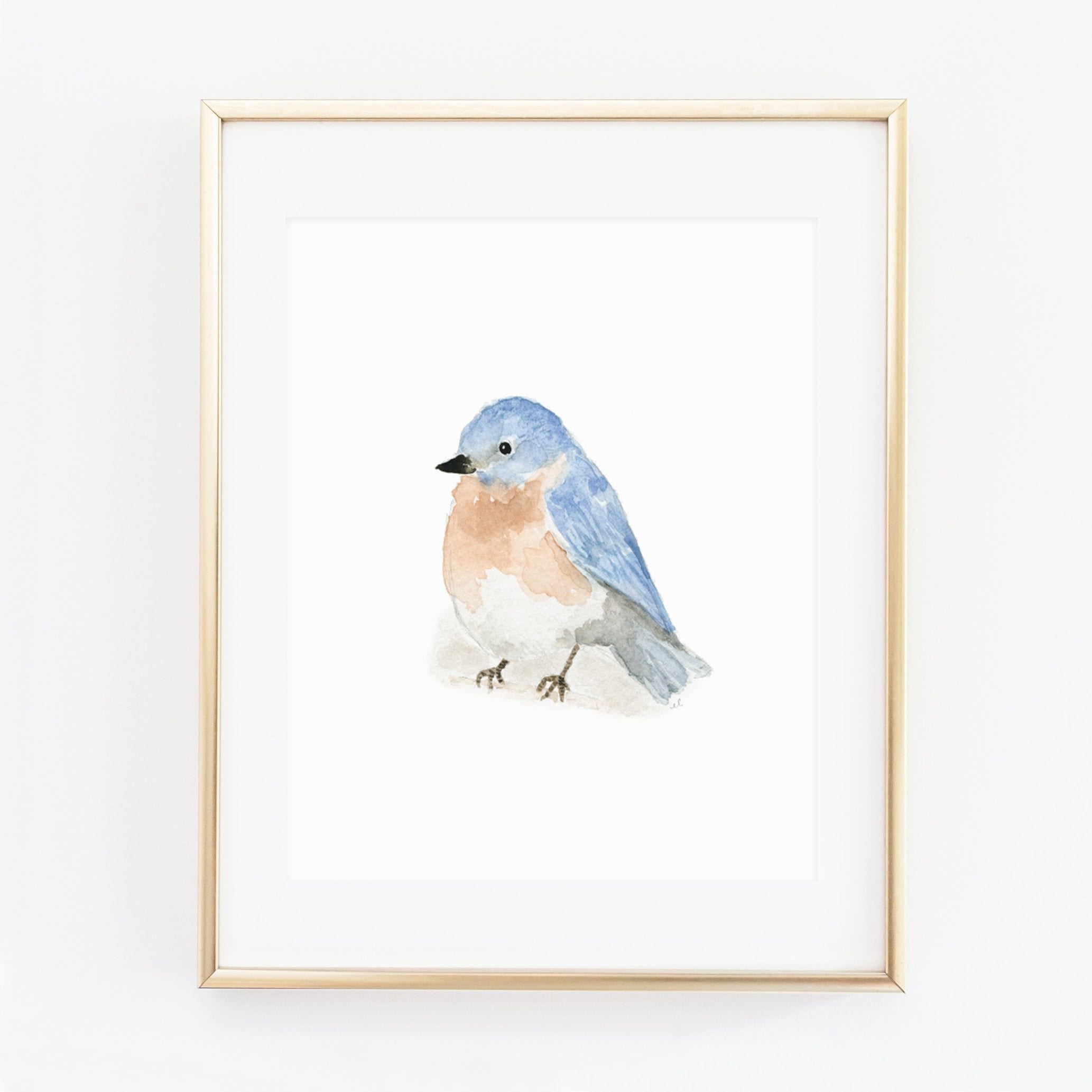 https://cdn.shopify.com/s/files/1/0411/4697/4374/products/bluebird.jpg?v=1680389805