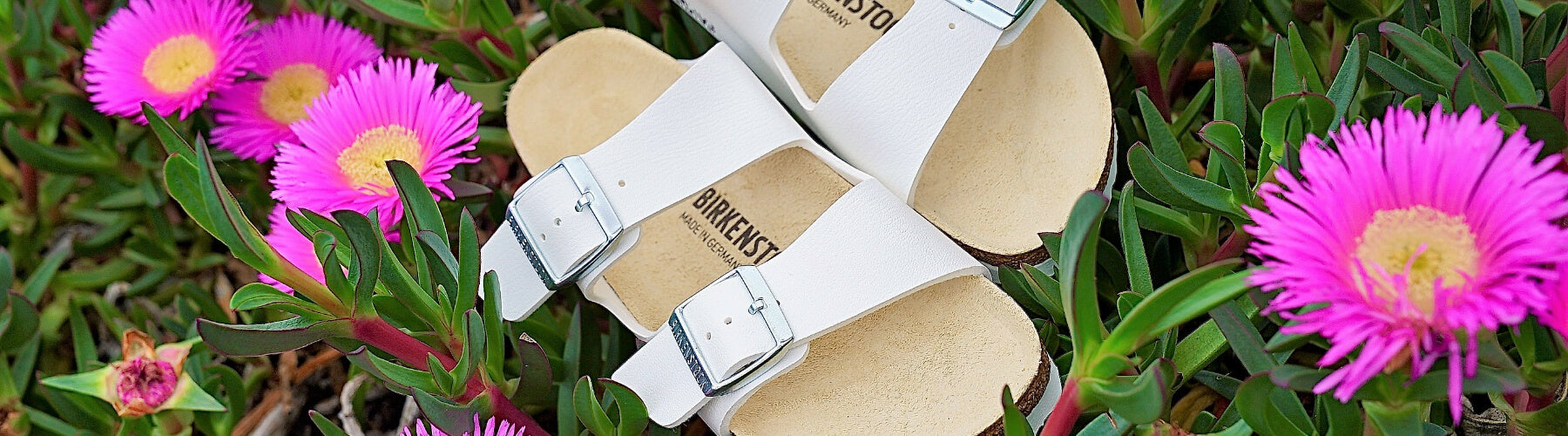 download comfortable slides reddit