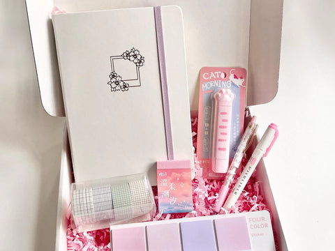 Coral and Ink's bullet journal starter box