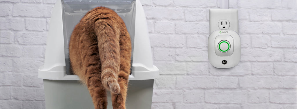 Litter Boxes: Solving the Stink Without the Side Effects