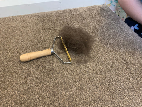 Fur removed from carpet thats vacuum every single day!