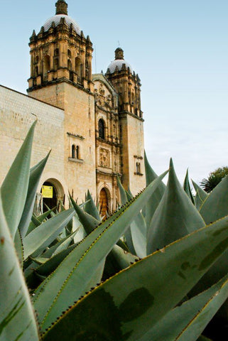 Templo de Santo Domingo de Guzmán