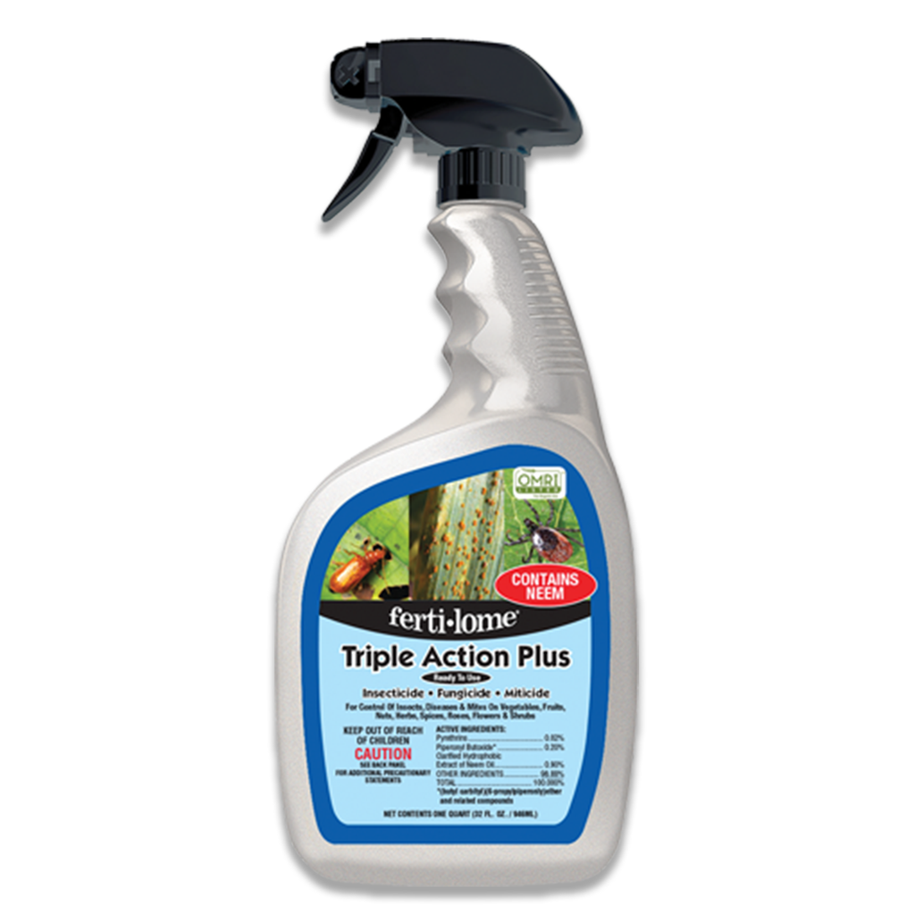 You Can Use Mosquito Bits® to Control Fungus Gnats - Summit