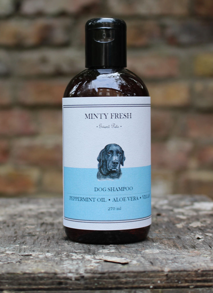 peppermint shampoo for dogs