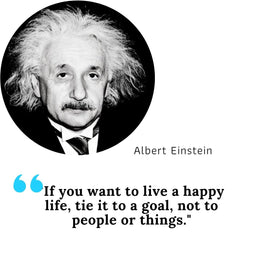 Albert Einstein on goals