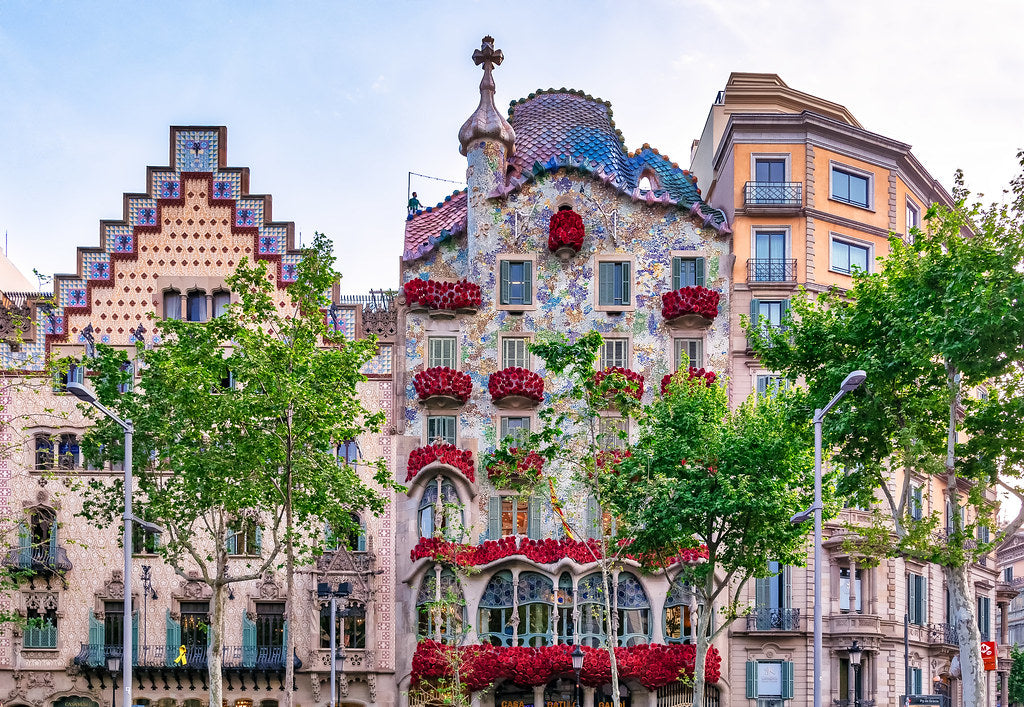 la rosa de sant jordi