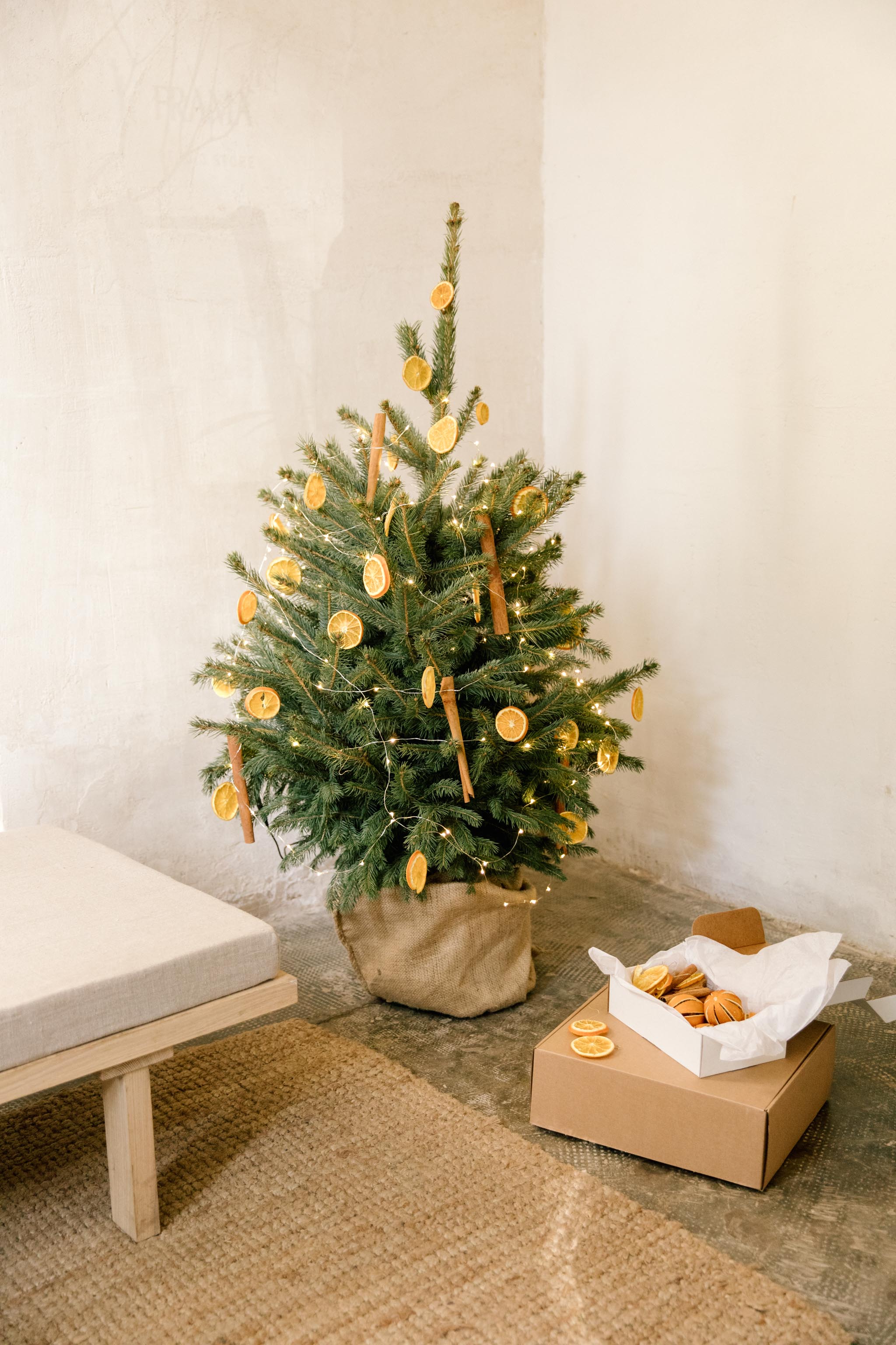 EL ORIGEN DEL ARBOL DE NAVIDAD