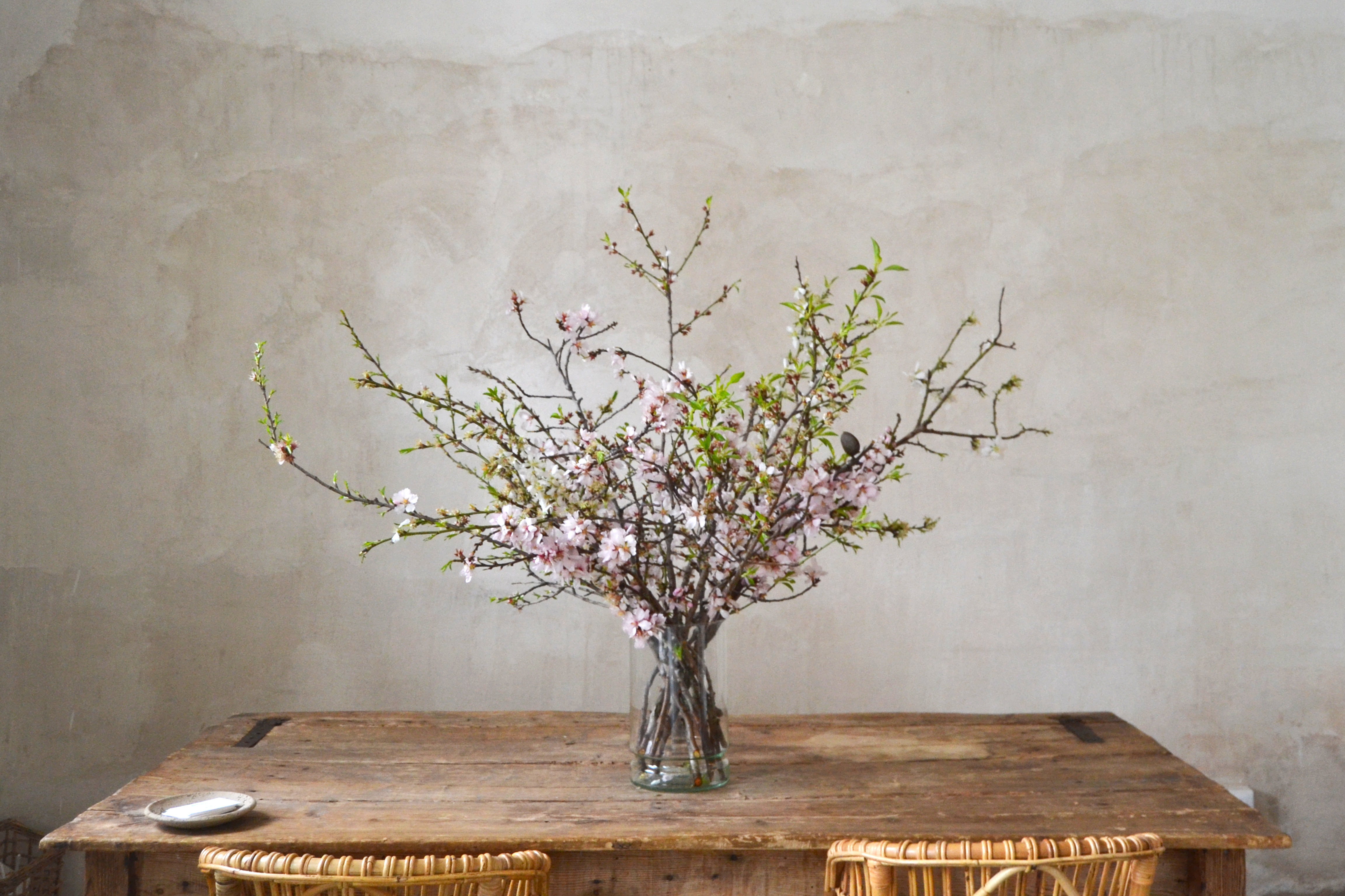 almendro en flor