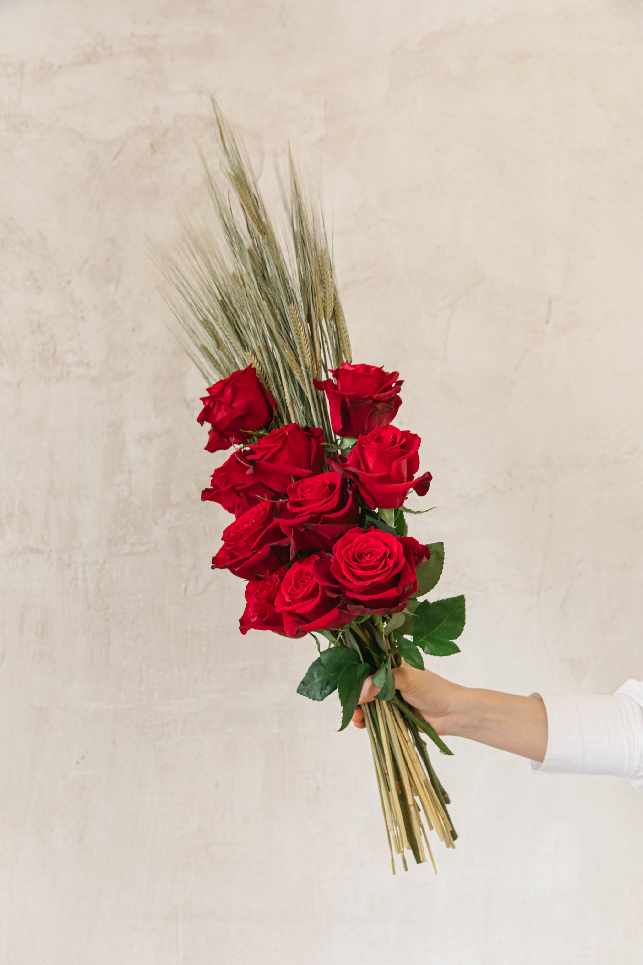 la rosa de Sant Jordi