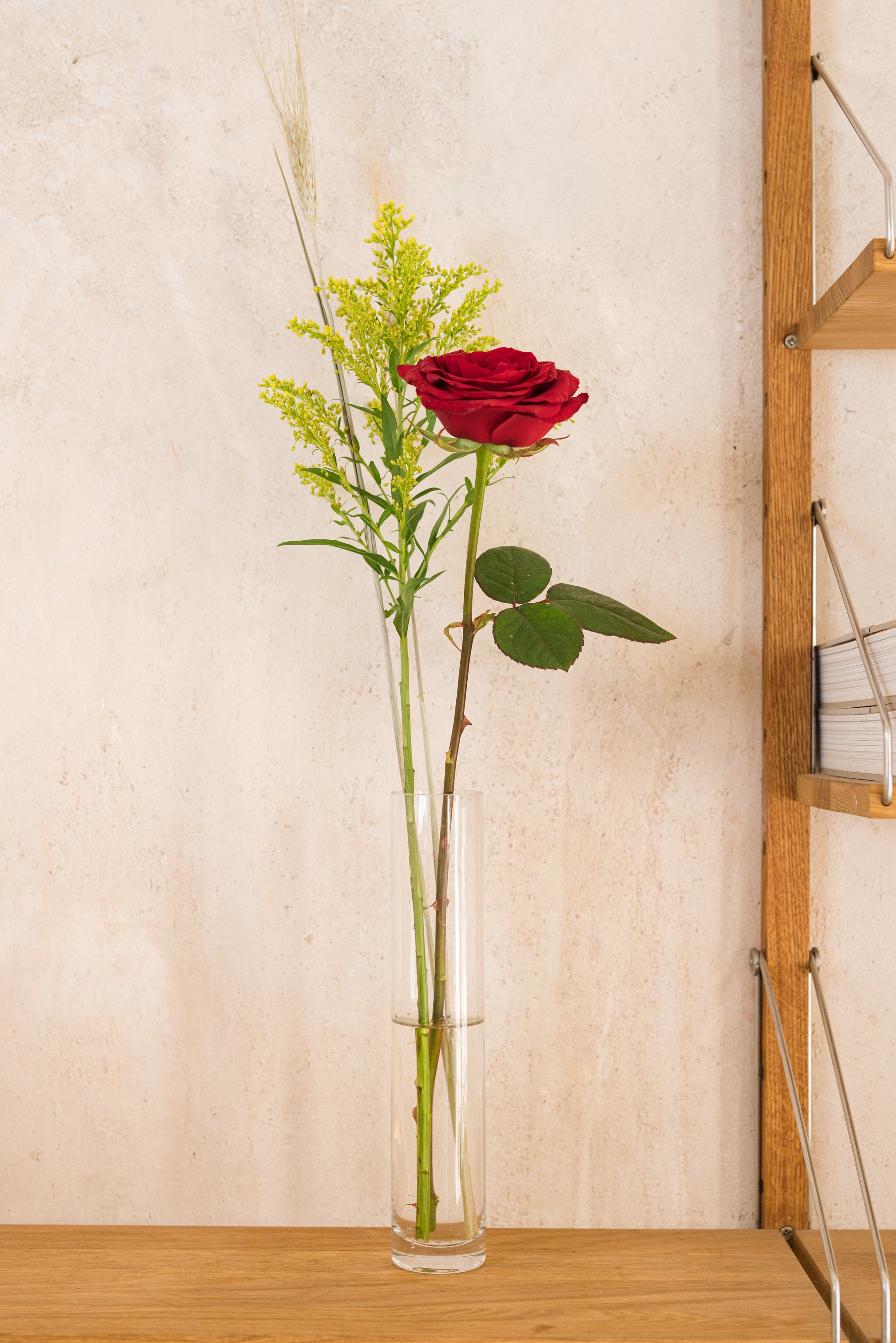 la rosa de sant jordi