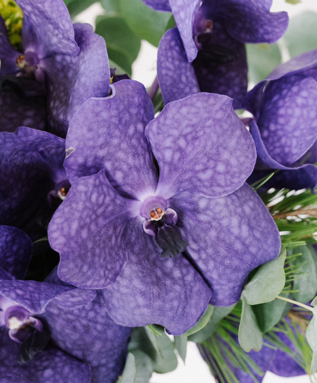 alblanc | Ramo de flores violetas