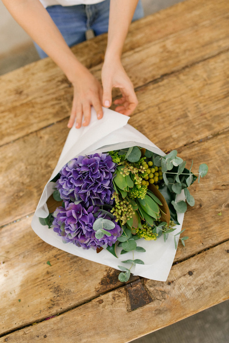 alblanc | Enviar hortensias a domicilio - Ramo de hortensias violetas