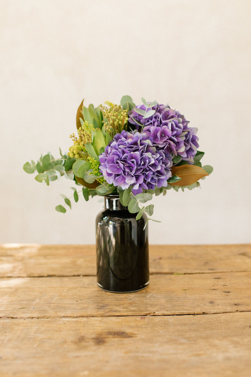 alblanc | Enviar hortensias a domicilio - Ramo de hortensias violetas