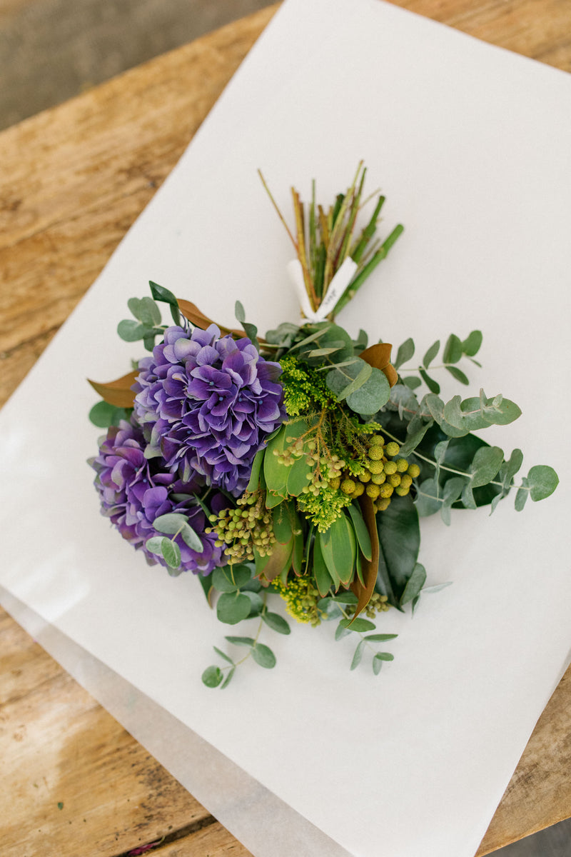 alblanc | Enviar hortensias a domicilio - Ramo de hortensias violetas