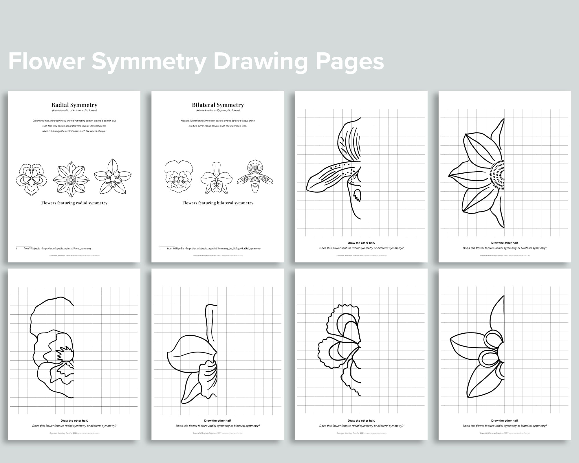 Flower Symmetry Drawing Pages Mornings Together