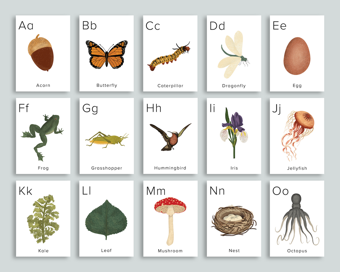 nature-alphabet-flashcards-mornings-together