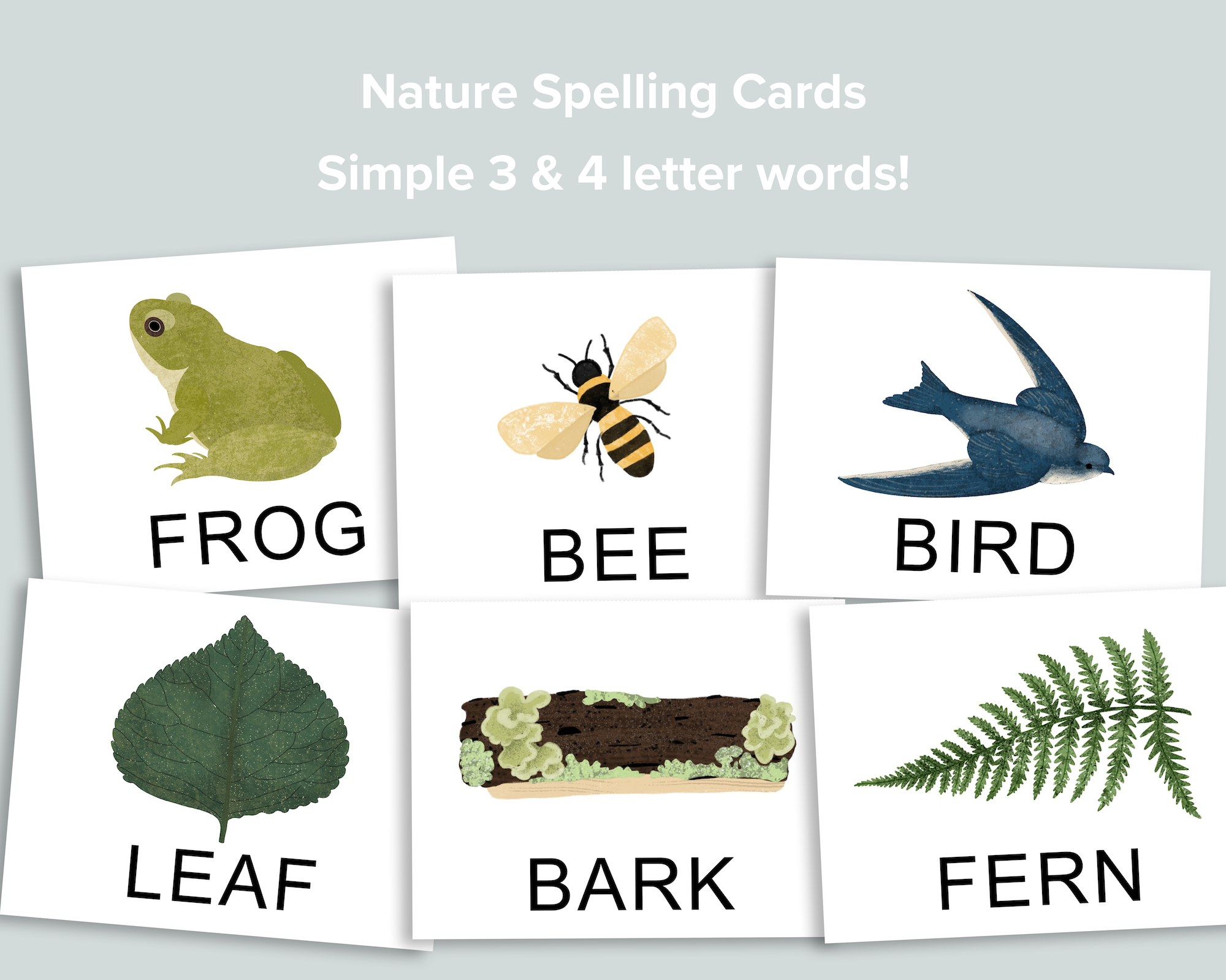 hylde Krudt ondsindet Nature Spelling Cards – Mornings Together
