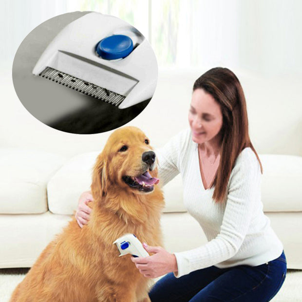 electric dog hair brush