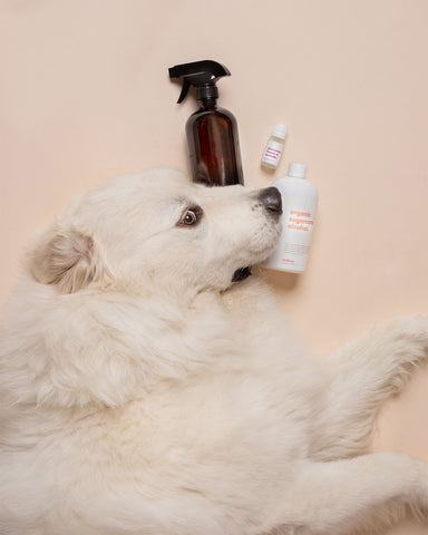 natural pet care products