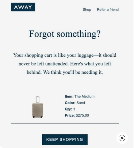 abandon cart sample email