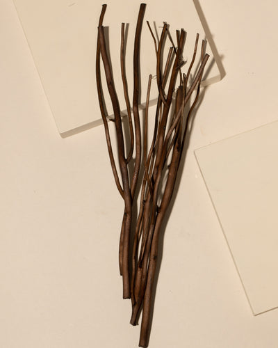 Maison Berger - Replacement Reed Diffuser Sticks - Set of 6 Rods - Natural Willow Stems 10.6 Inches