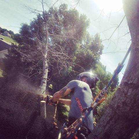 Justin Devasthali using a chainsaw to cut a tree limb.