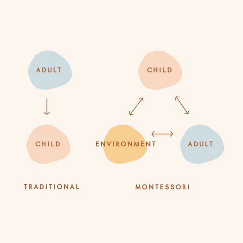 montessori vs. traditional education