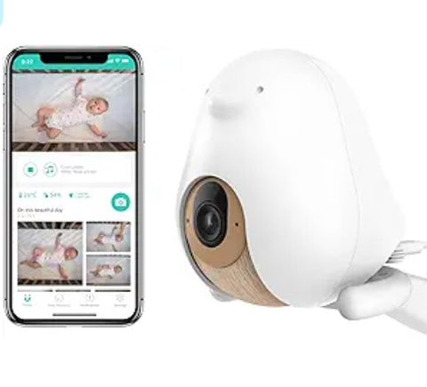 best video baby monitor