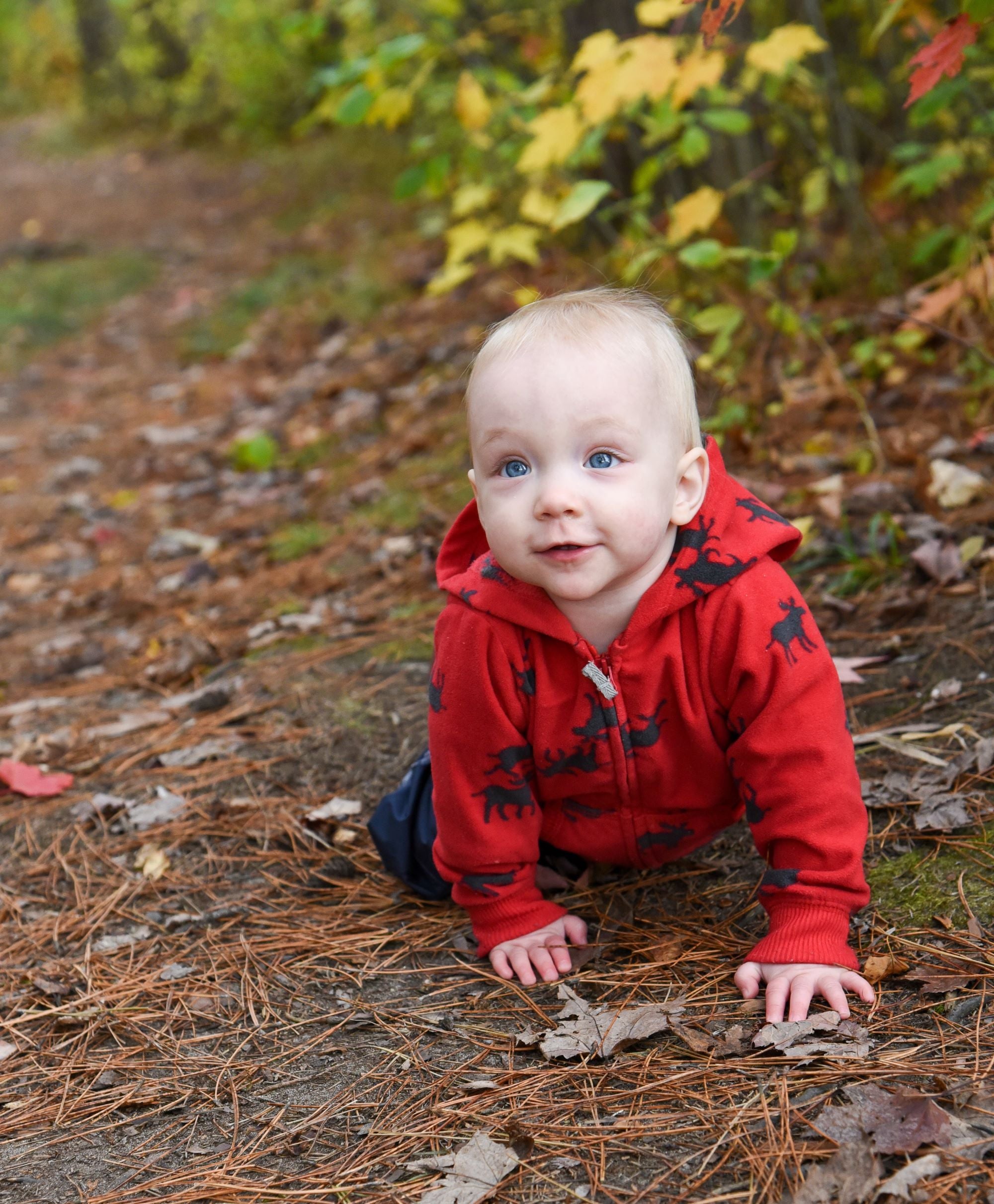 when do infants start crawling, how to help baby crawl, baby crawling