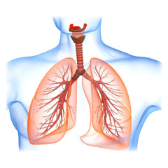 Nebulizing HOCL hypochlorous acid SANOT500