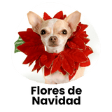 1.7-flores-navidad