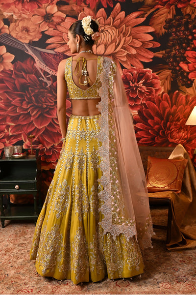 Top 100+ Olive Yellow Lehenga Designs: Unique and Refreshing Choice for Mehndi